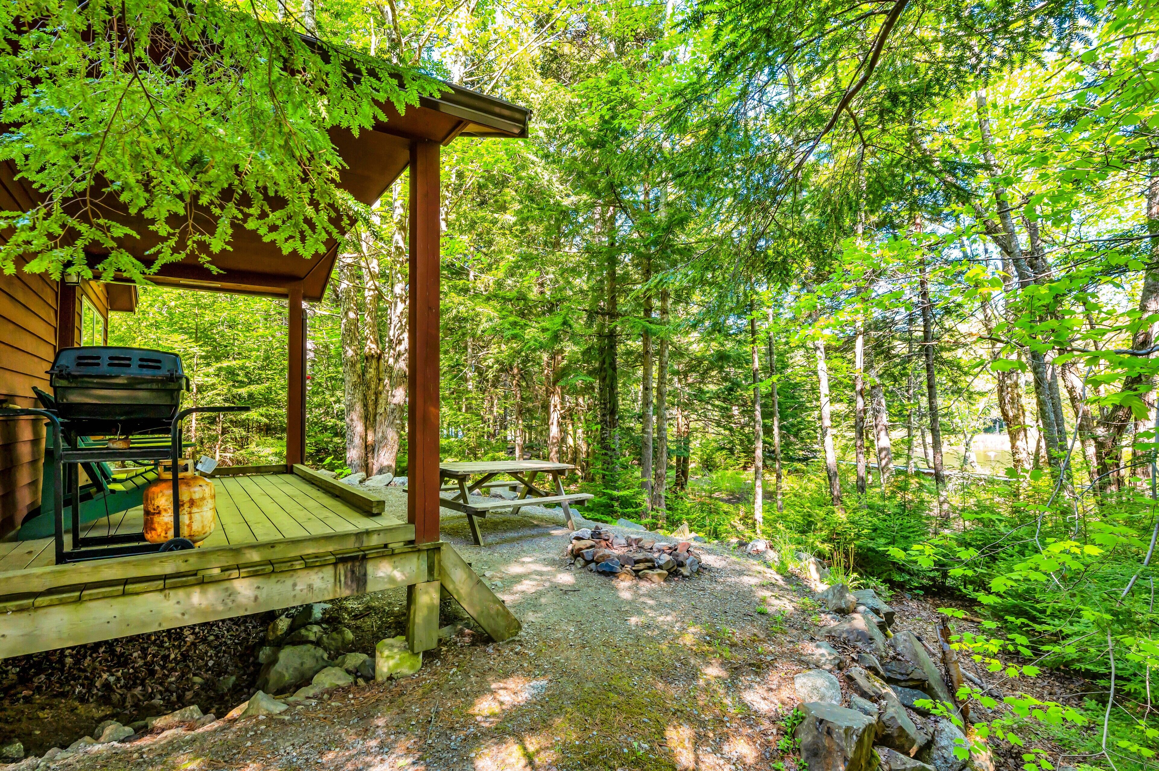 A wooden deck with a grill and picnic table, surrounded by a forest.