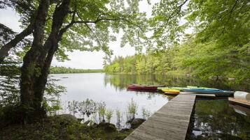 Un lago tranquilo con un muelle de madera que se adentra en el agua, rodeado de exuberante vegetación y árboles.