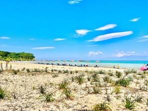 Ein Strand mit Reihen von Liegestühlen und Sonnenschirmen, einem klaren Himmel und einer entfernten Meeresansicht.