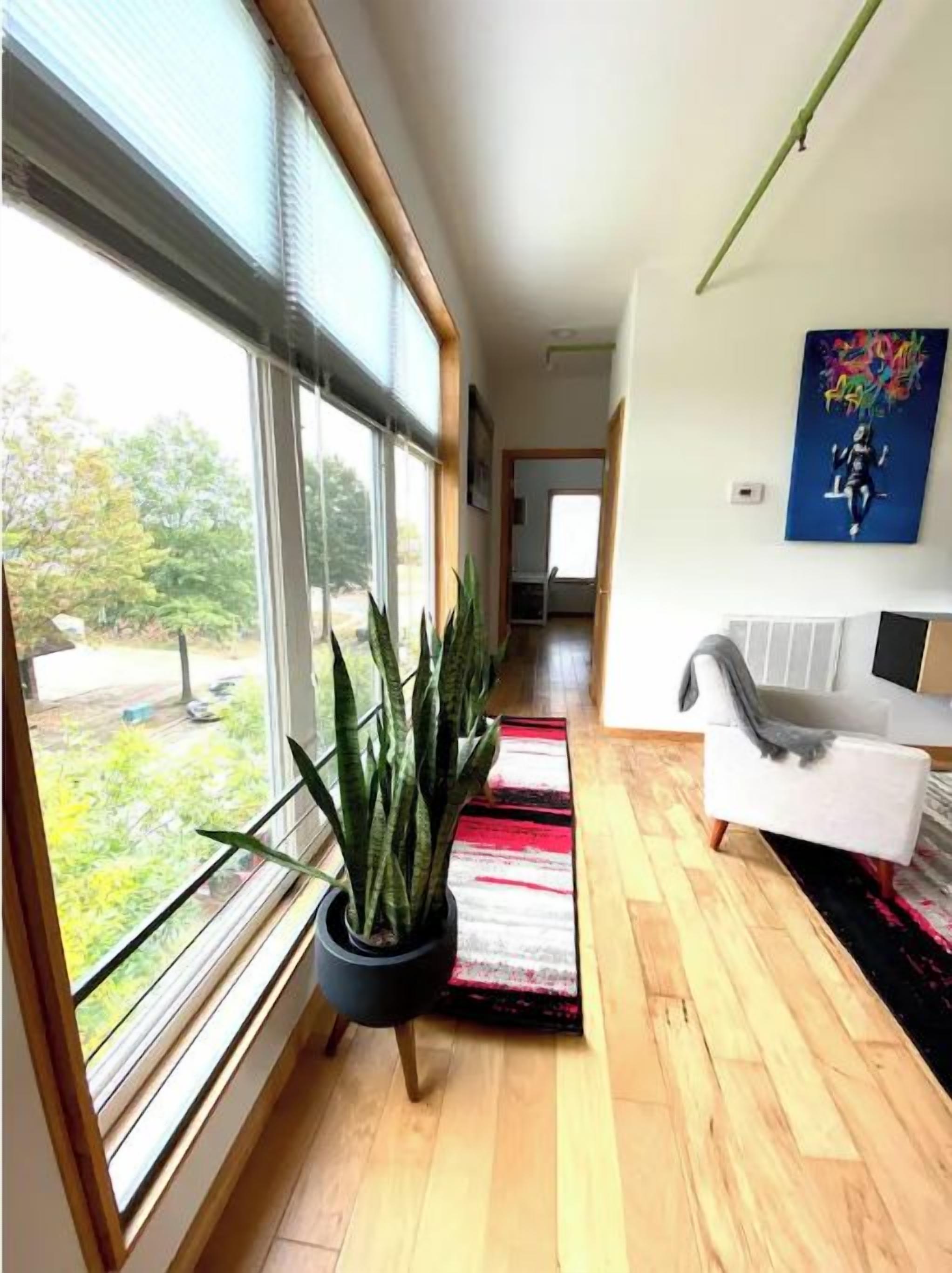 Un intérieur moderne avec une grande fenêtre, une plante en pot, un canapé blanc et un tapis coloré.