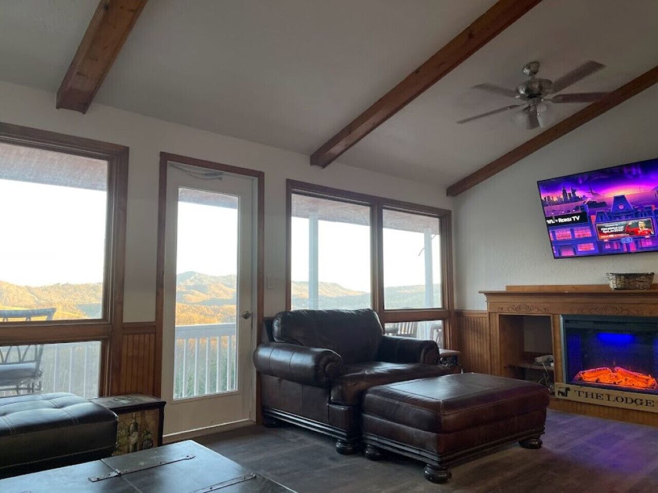 Smart TV, fireplace, books