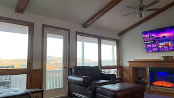 Smart TV, fireplace, books