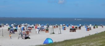 Top vacation home, 6 pers., sauna, 2 bathrooms, WLAN, fireplace, terrace, playground, dog