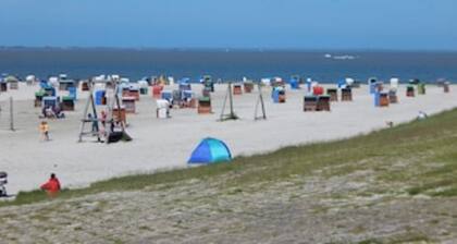 Top vacation home, 6 pers., sauna, 2 bathrooms, WLAN, fireplace, terrace, playground, dog