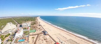 イエロープライア モンテゴルド