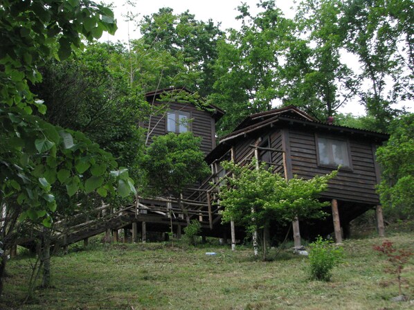 Exterior - Kulindağ Dağ Evi (Beykoz)