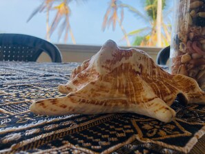 A shell on a patterned rug with a chair and a glass container in the background.