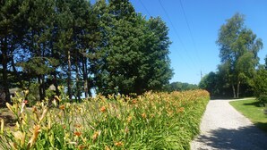 A gravel path flanked by dense green foliage and orange flowers, leading towards a forested area.