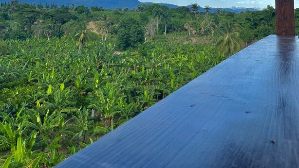 A view from a covered outdoor area with a wooden floor, overlooking a lush green landscape with banana plants and distant mountains. - Complejo Ecoturistico Rancho Cielo (Licey al Medio)