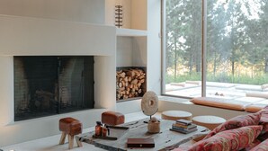 Una sala de estar moderna con chimenea, ventanas amplias y plantas colgantes.