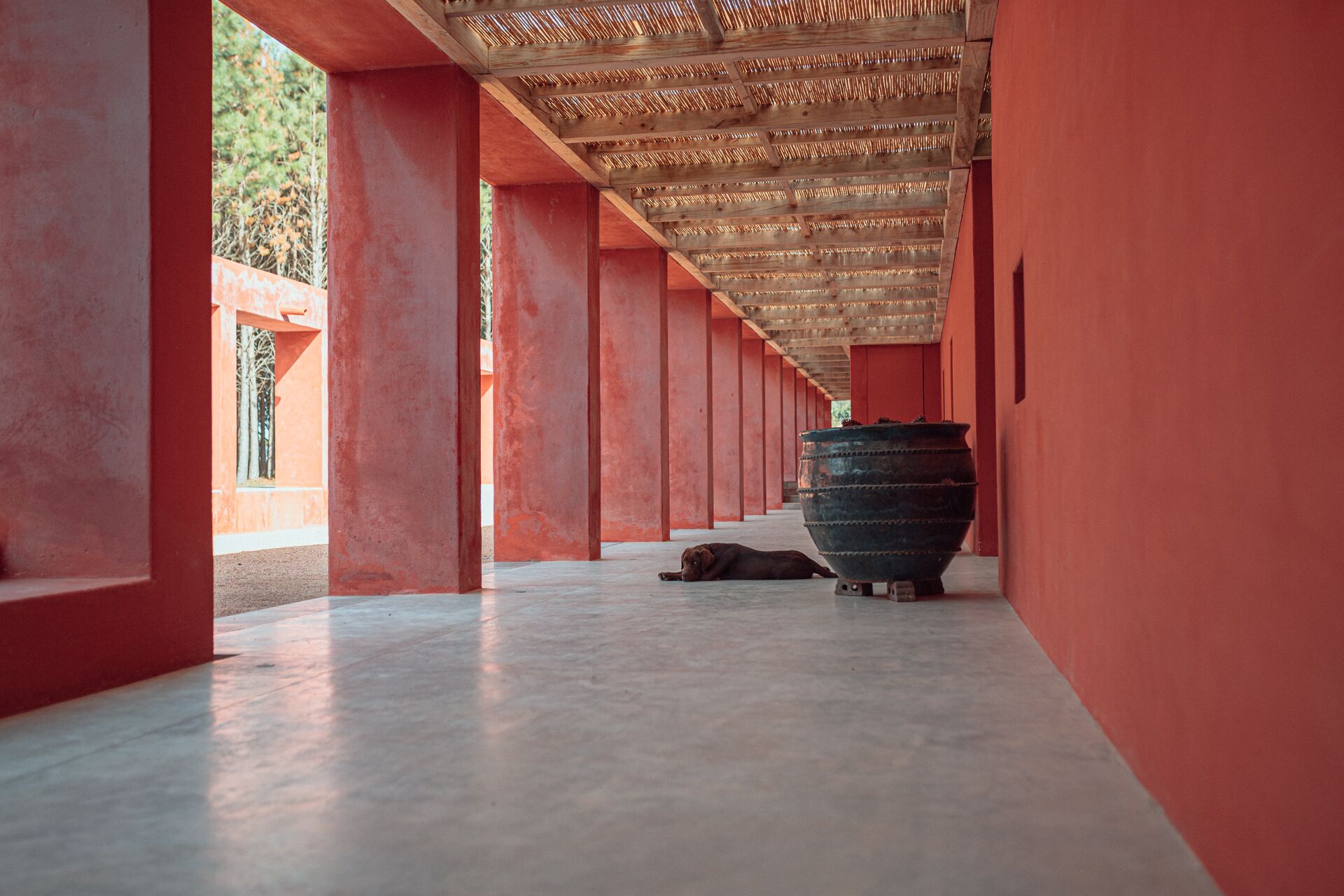 A corridor with red walls and a large black pot in the center.