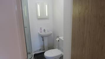 Family Room | Bathroom | Shower, rainfall showerhead, free toiletries, hair dryer