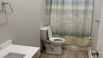 Combined shower/tub