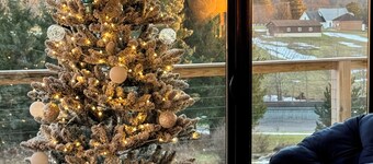 Modern Cabin Facing Canaan Valley Ski Slopes