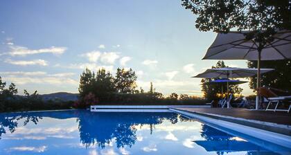 Oliveta a Retreat Surrounded by Olive Trees