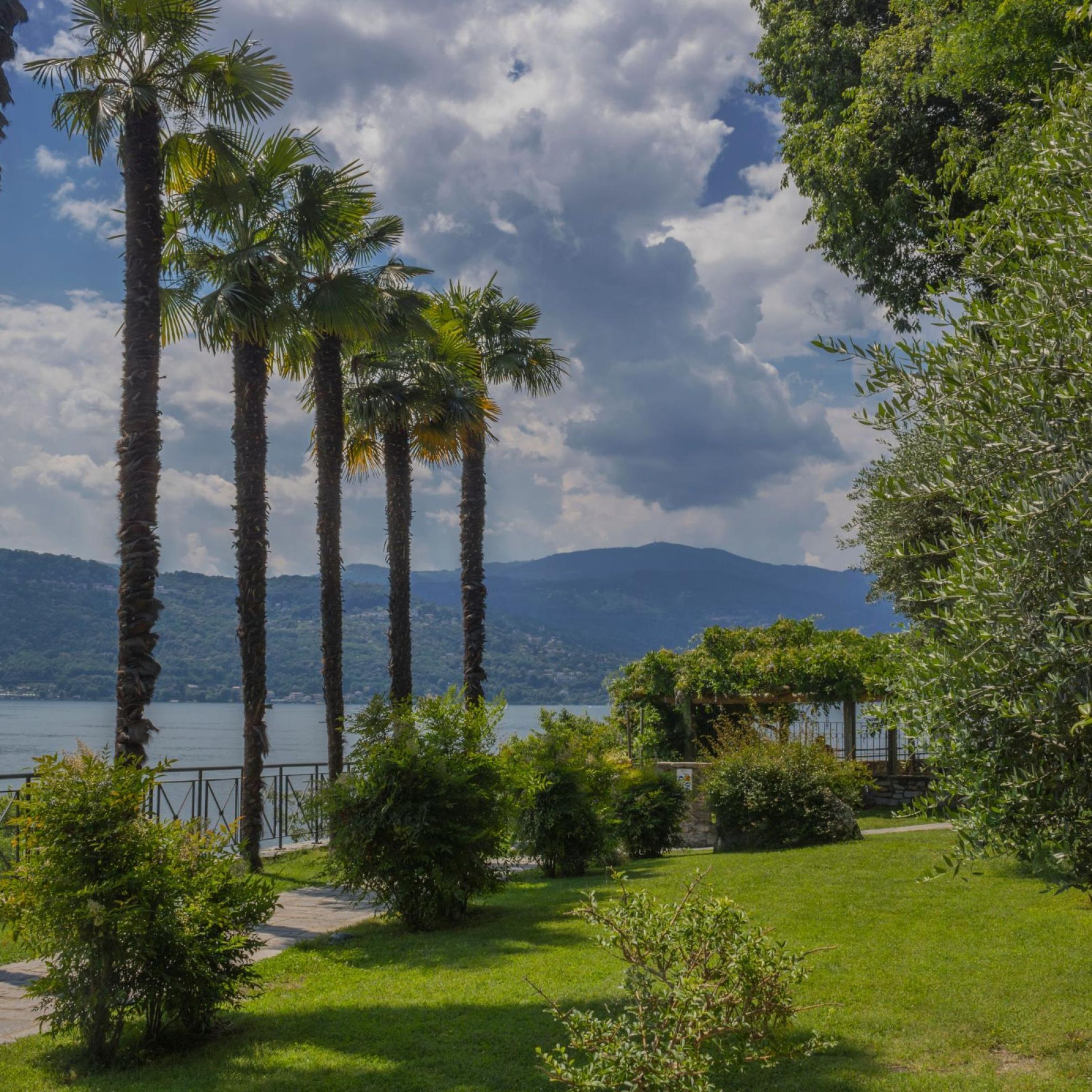 Apartment | 1 bedroom, Internet