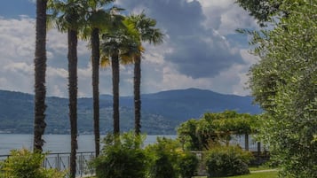 Apartment | 1 bedroom, Internet