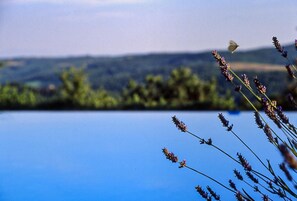Villa | 4 bedrooms - Casa Bosco a Stone Mansion in Chianti (Gaiole in Chianti)