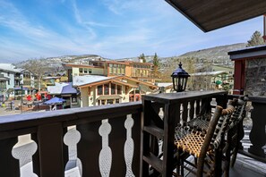 Property grounds - 6BR Slopeside Lodge - Ski In/Ski Out, Walk to Everything (Vail)