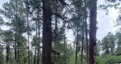 Mystic Pines-Spacious 2bd/2ba condo in a great location w/ deck& Fire Place!