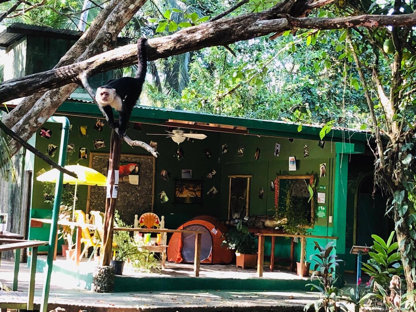 Terrein van de accommodatie