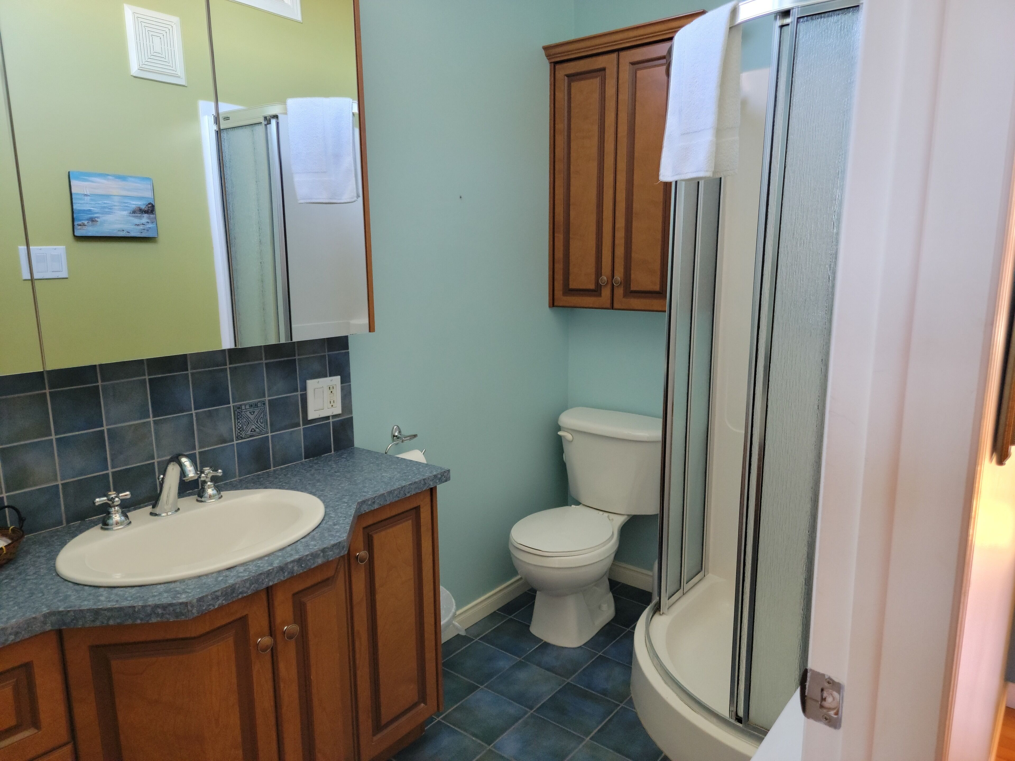 A bathroom with a sink, toilet, and shower.