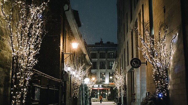 Une rue étroite bordée d’immeubles et d’arbres décorés de guirlandes lumineuses.