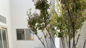 Un espace patio avec deux chaises et un petit arbre.