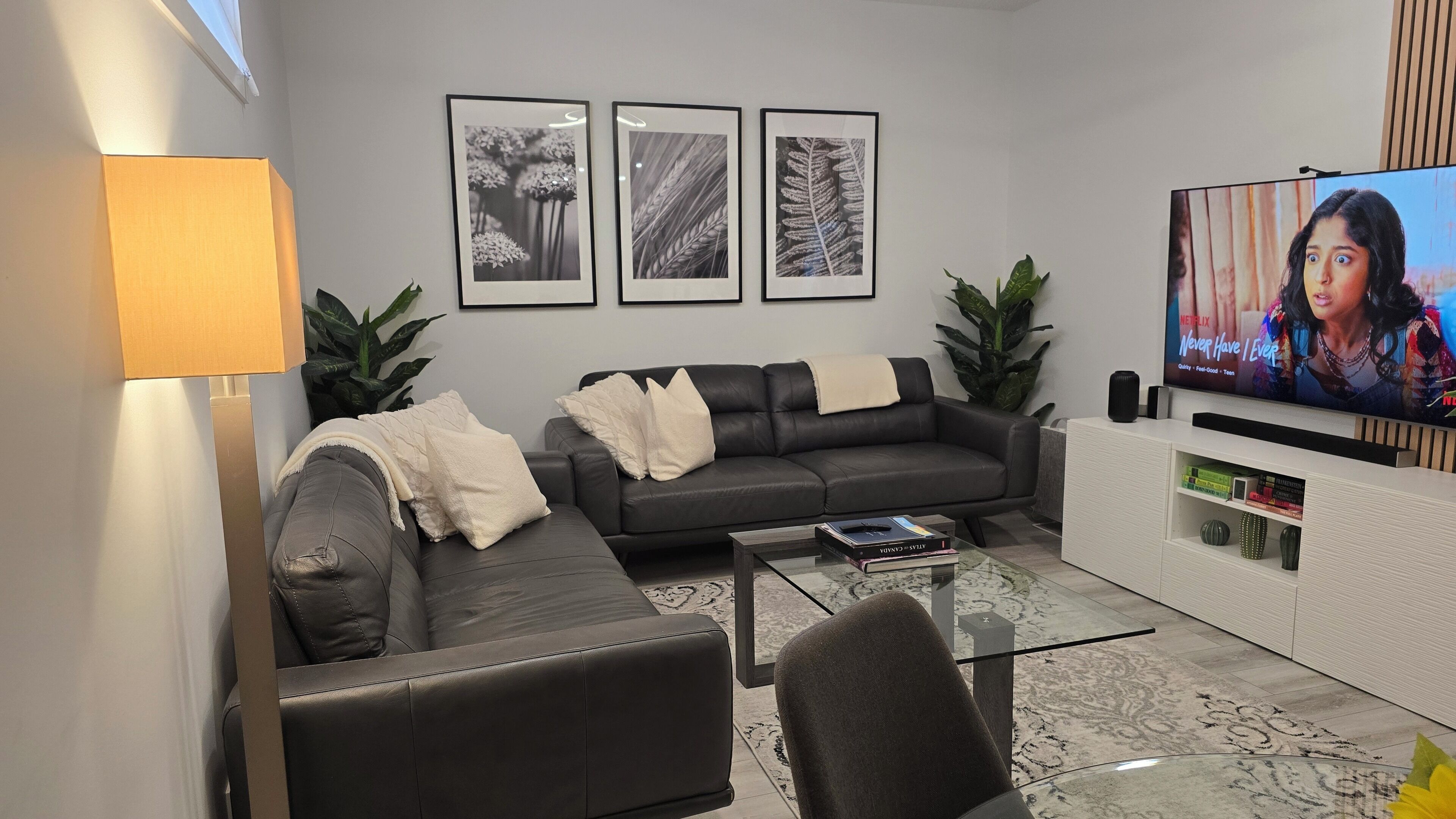A modern living room with a sofa, coffee table, and a flat-screen TV. There are framed botanical prints on the wall and a lamp on the left.