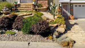 Uma casa de dois andares com chaminé de tijolos, varanda frontal com degraus e um jardim com diversas plantas e um cacto.