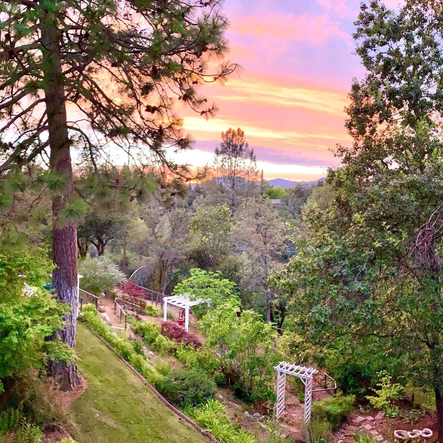 A garden with a pergola, trees, and a view of distant mountains.