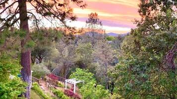 A garden with a pergola, trees, and a view of distant mountains.