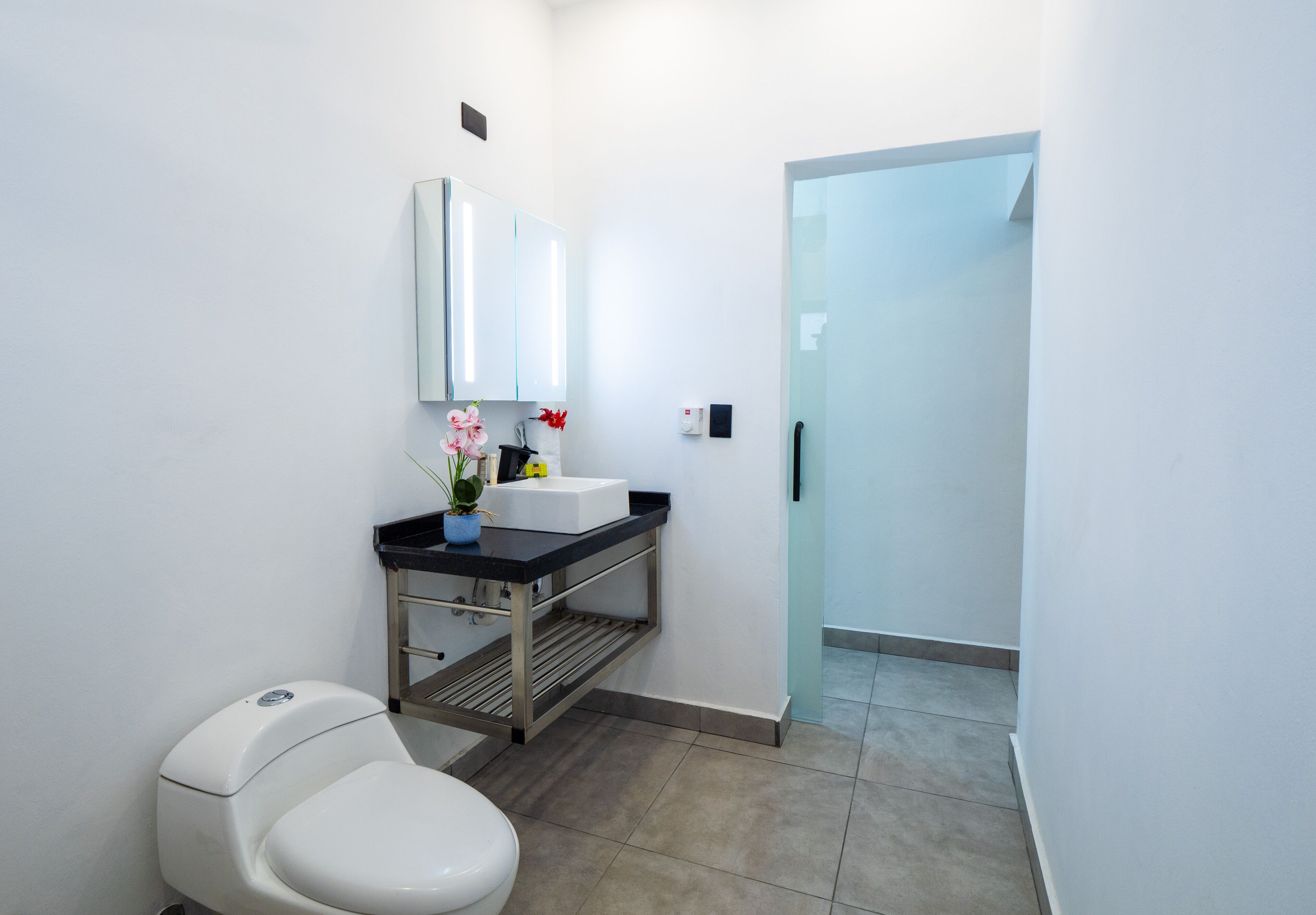 A modern bathroom with a toilet, sink, and mirror. There is a small shelf with a potted plant and a red flower. The floor is tiled, and there is a glass door leading to another room.