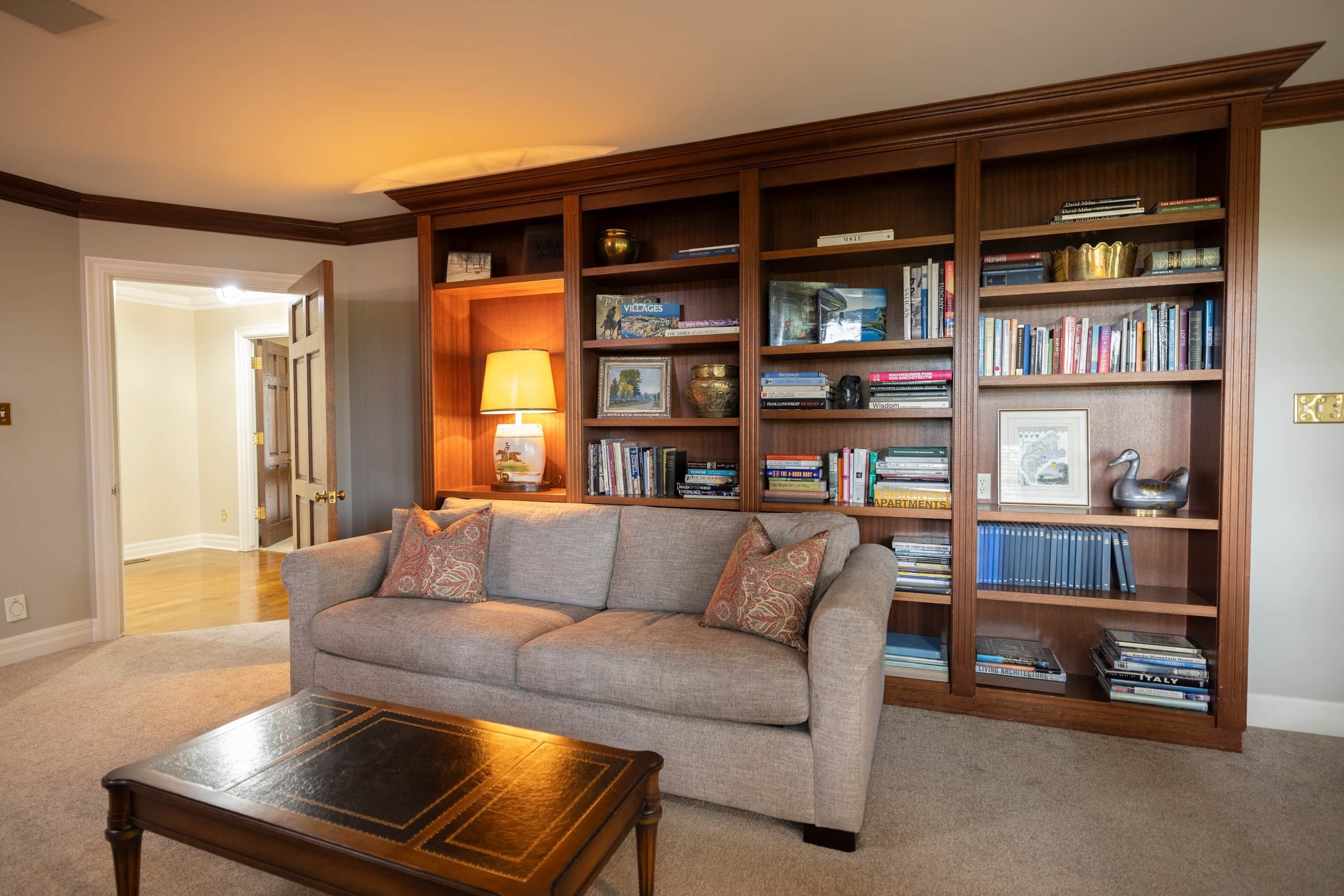 Televisión, chimenea, reproductor de DVD y libros 