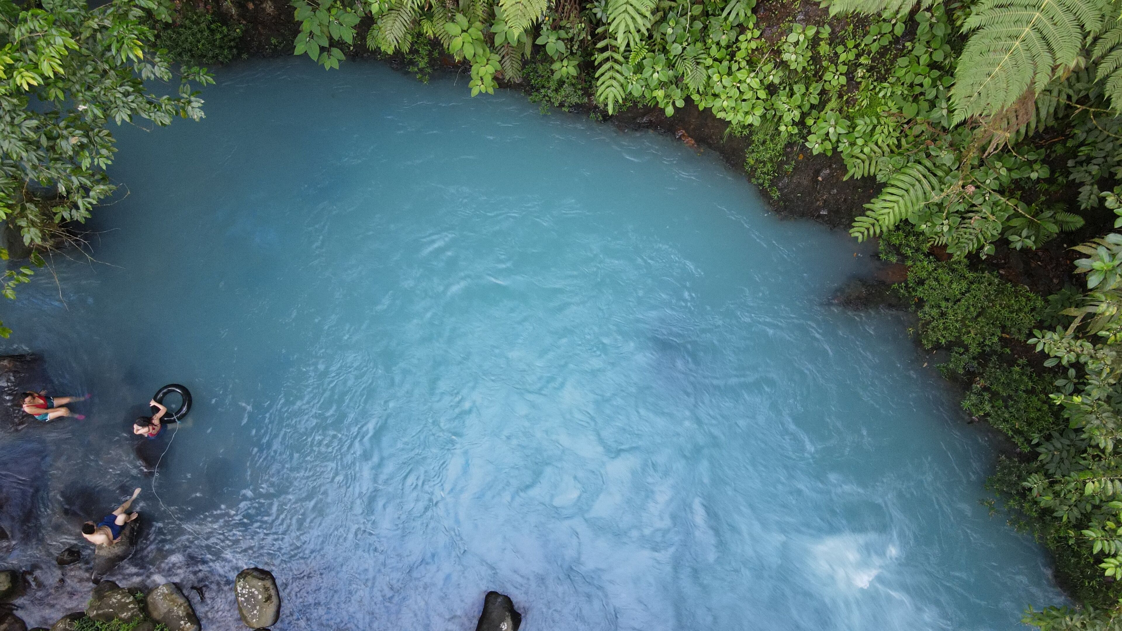 Una piscina natural rodeada de abundante vegetación.