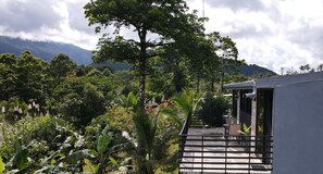 Exterior - Rio Celeste Nature View (Katira)