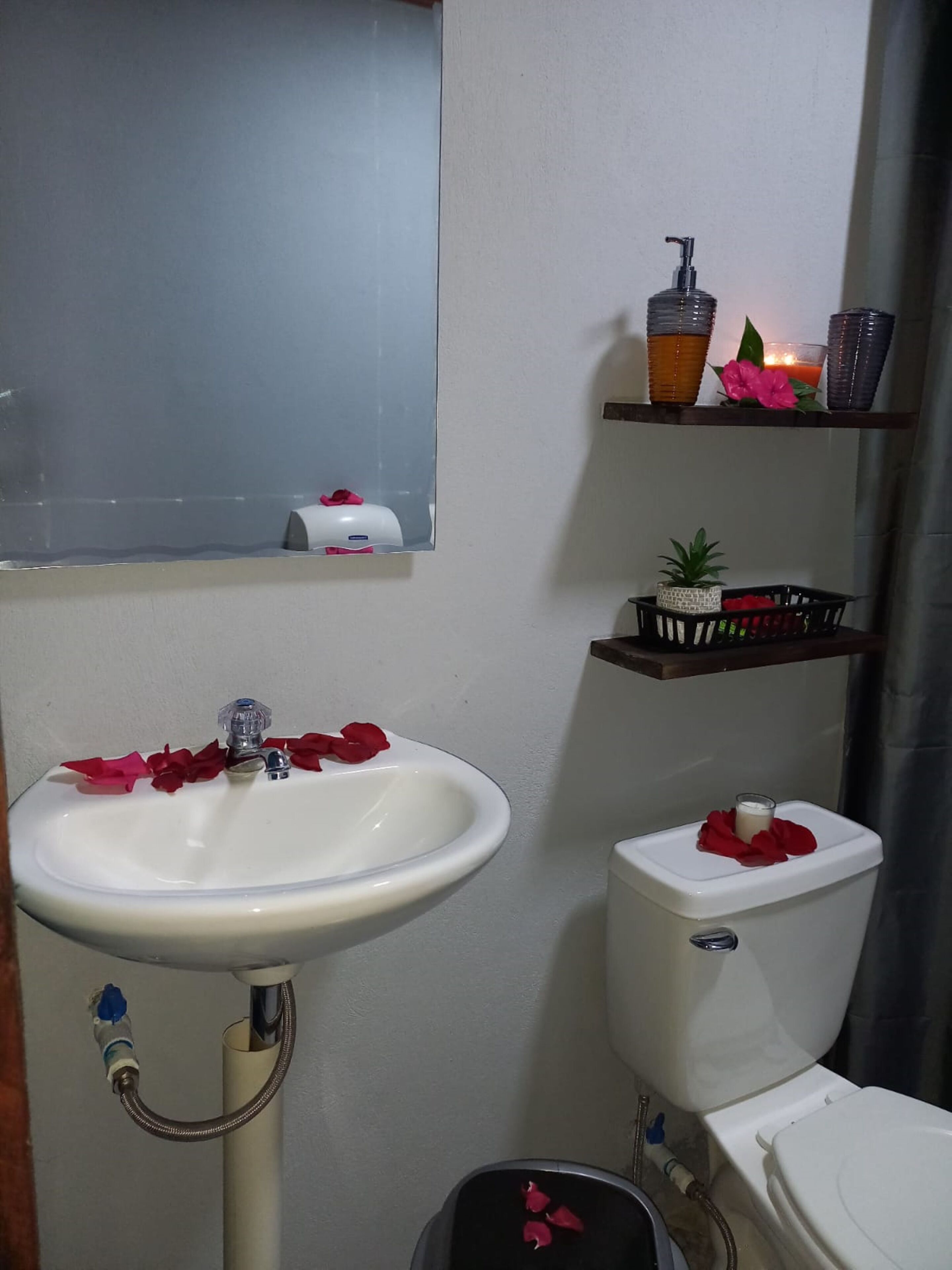 Un bagno con lavandino, water e doccia bianchi. Rose sparse sul lavandino e sul water, e un piccolo ripiano con articoli da toilette.