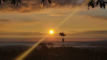 Un coucher de soleil sur un paysage côtier, avec des palmiers se découpant en silhouette sur le ciel.