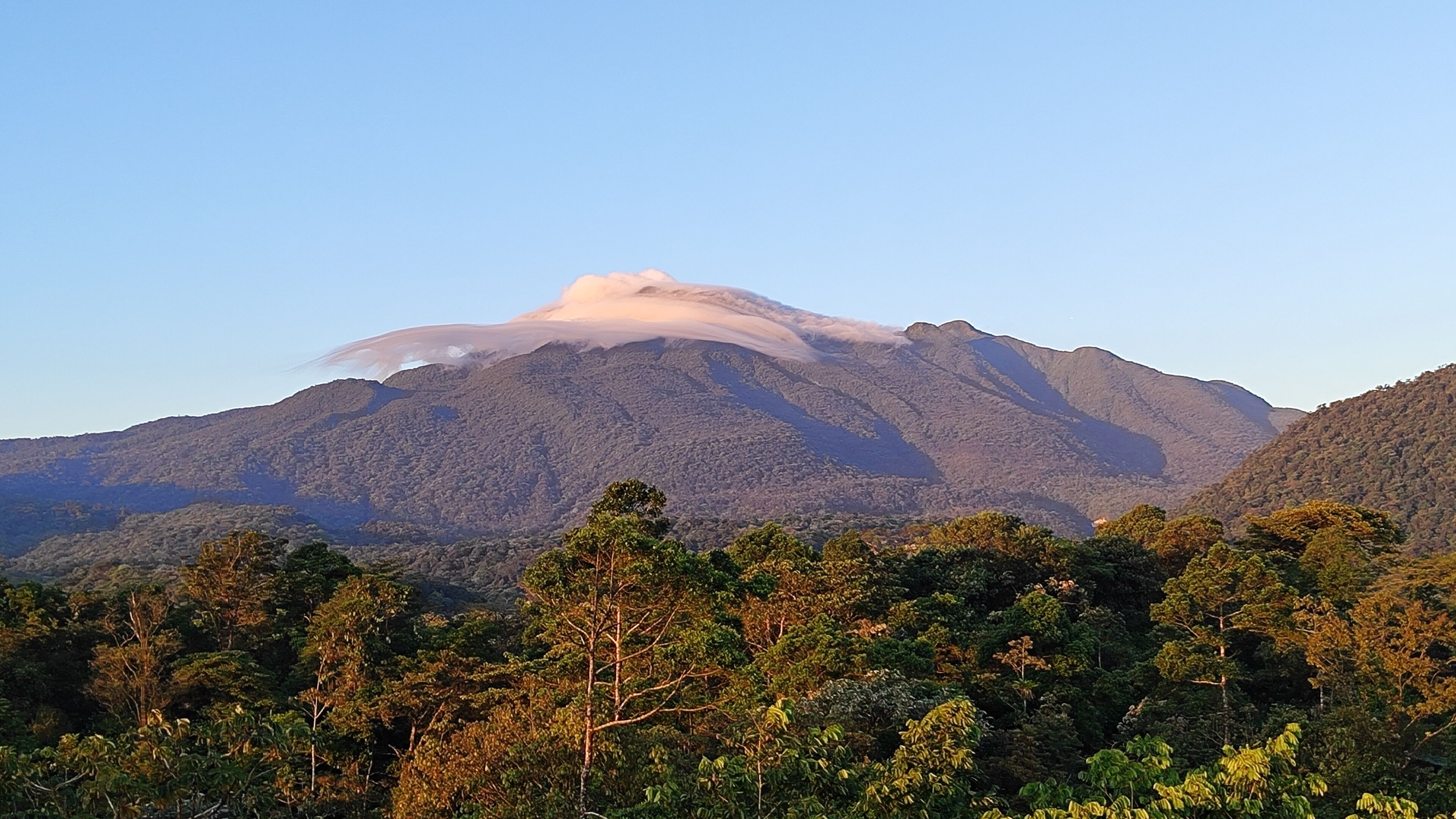 A mountain with a cloud at its peak, surrounded by dense forest.