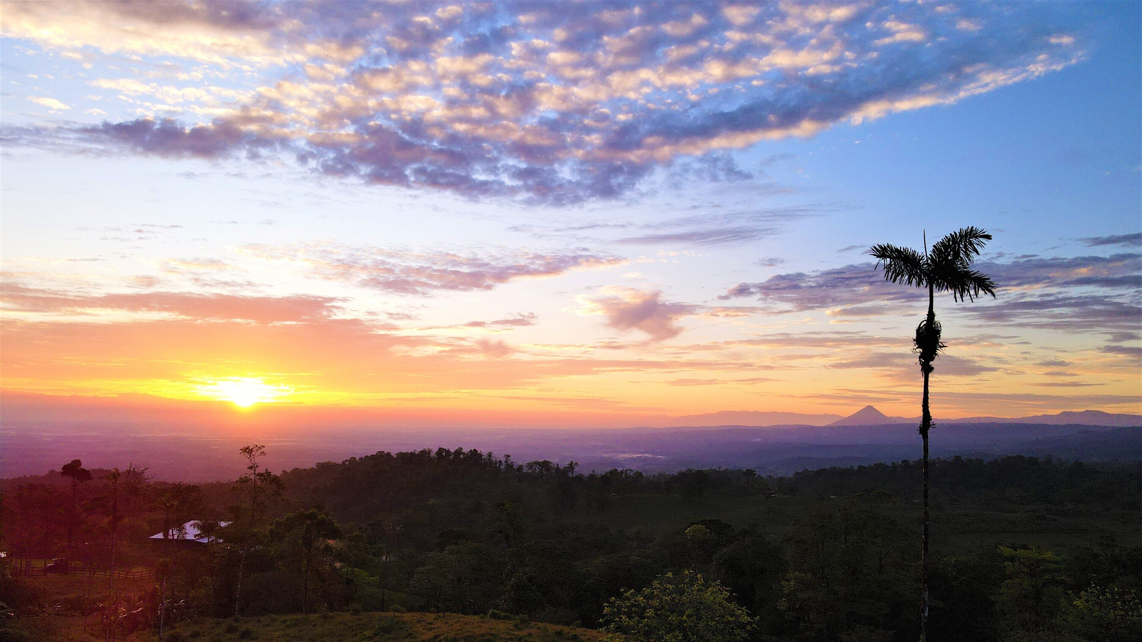 A sunset over a mountainous landscape with a palm tree silhouette.