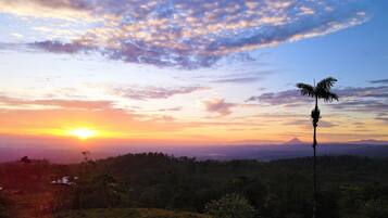 A sunset over a mountainous landscape with a palm tree silhouette.