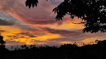 A sunset with silhouettes of trees and a clear sky.