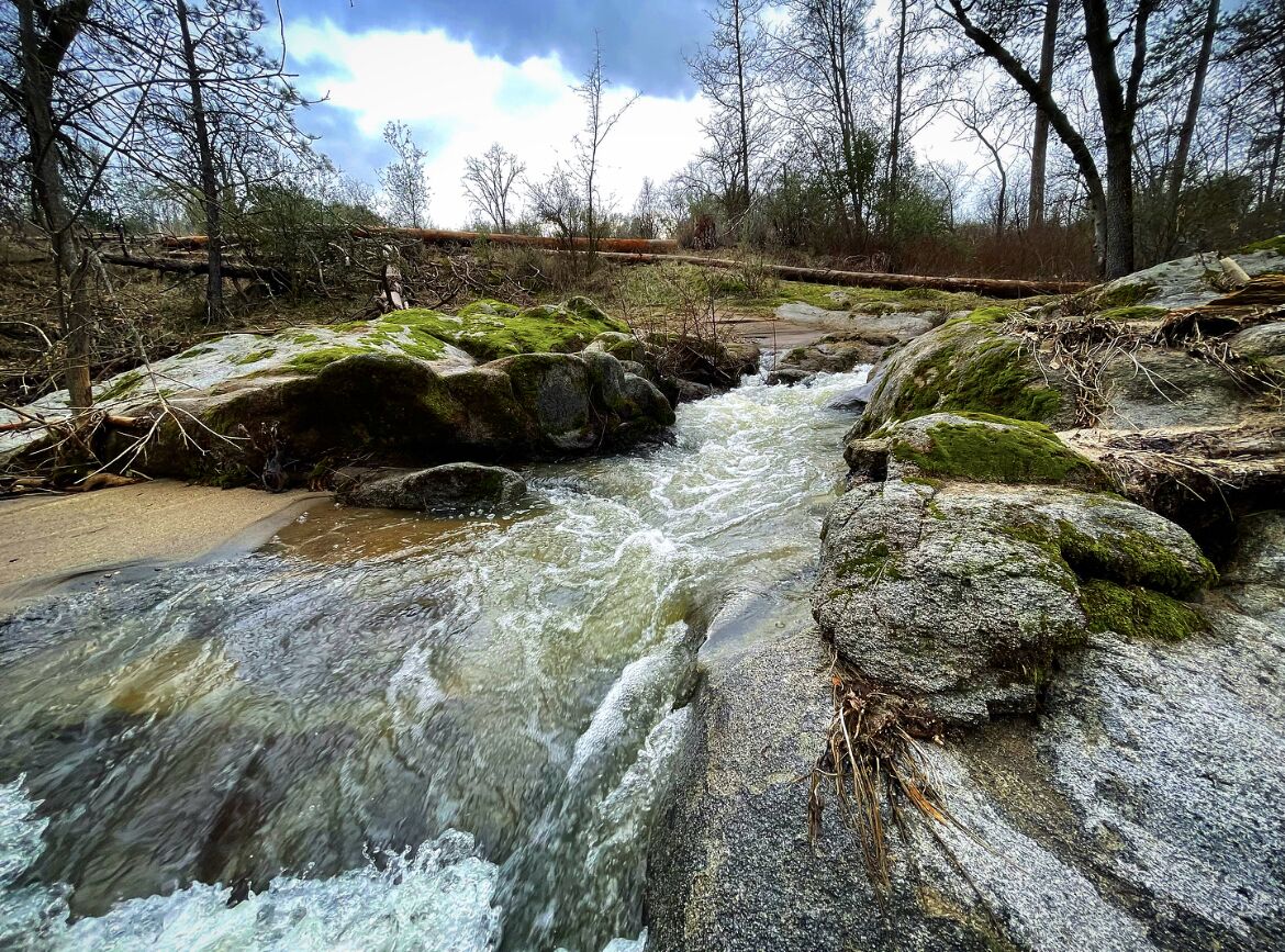 Un arroyo pedregoso con piedras cubiertas de musgo y un área boscosa al fondo.