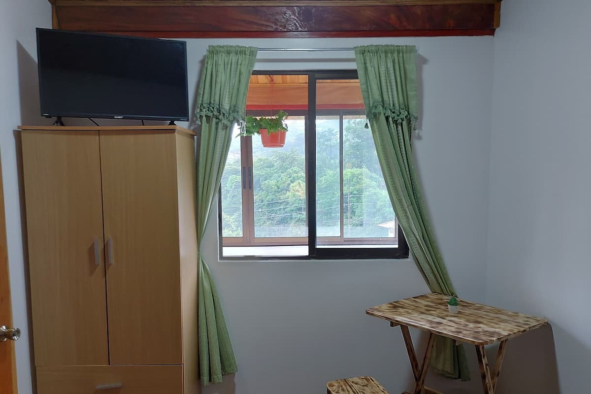 A room with a wooden wardrobe, a small table with a plant, and a window with curtains.