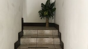 Un escalier recouvert de carreaux beiges, avec des moulures sombres, mène à un palier où est placée une plante en pot.