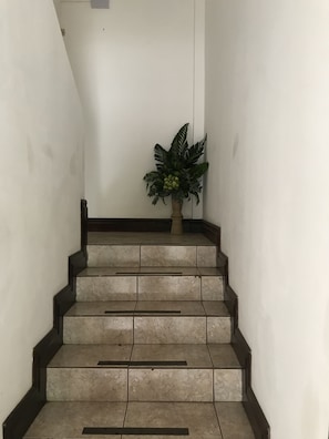 Eine Treppe mit beigen Fliesen und dunkler Umrandung, die zu einem Podest führt, wo ein Blumentopf platziert ist.