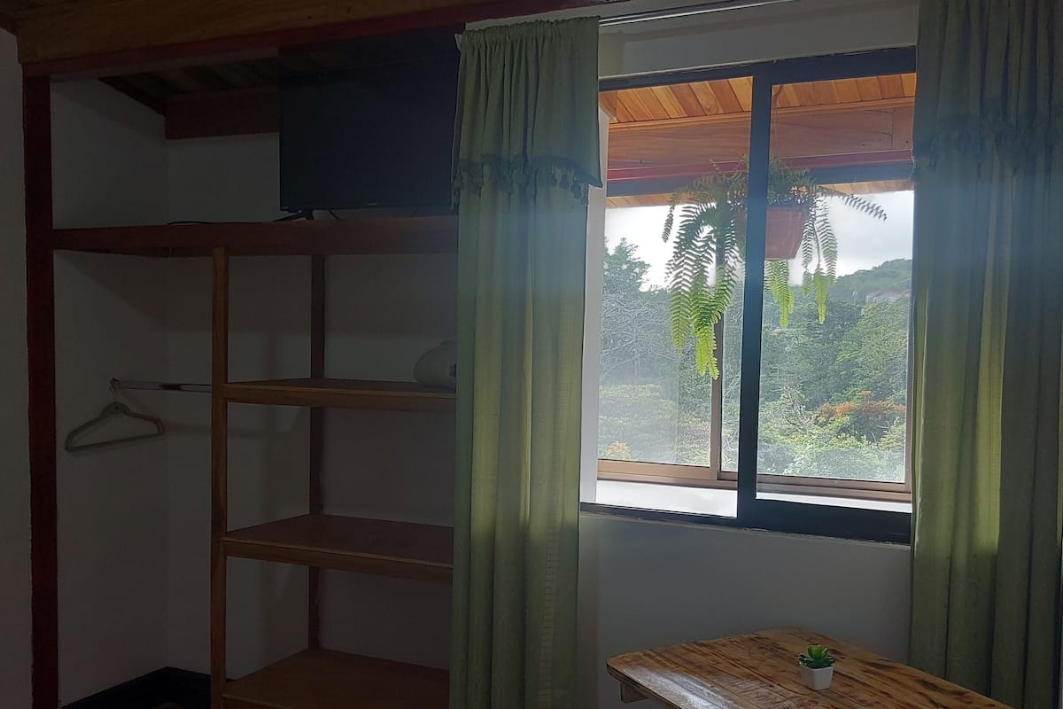 A room with a wooden bunk bed, a small table with a plant, and a window with curtains.