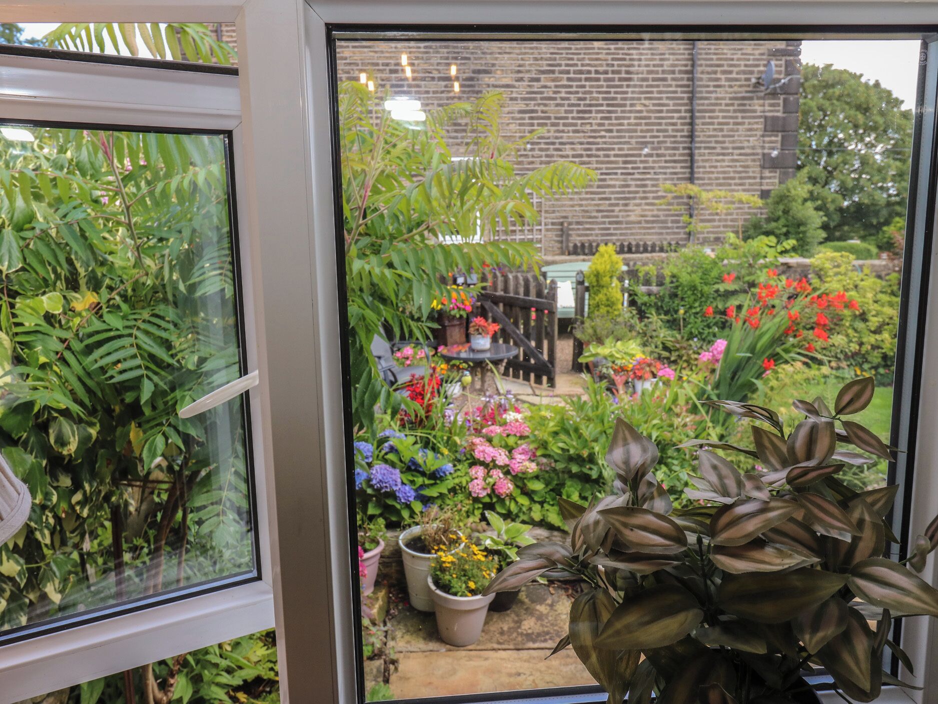 Visão pela janela de um jardim com diversas plantas e flores, uma cerca de madeira e um muro de tijolos ao fundo.