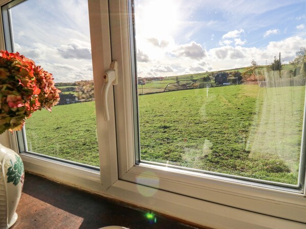 A window with a view of a green field and a cloudy sky.
