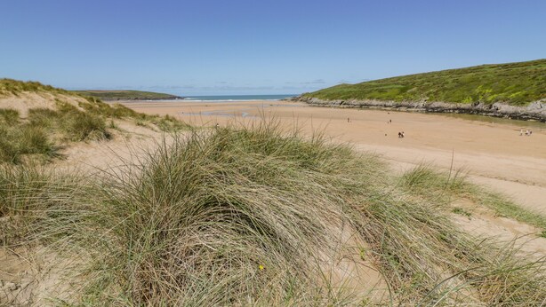 A beach with sand dunes and grassy areas. - Driftwood (Newquay)